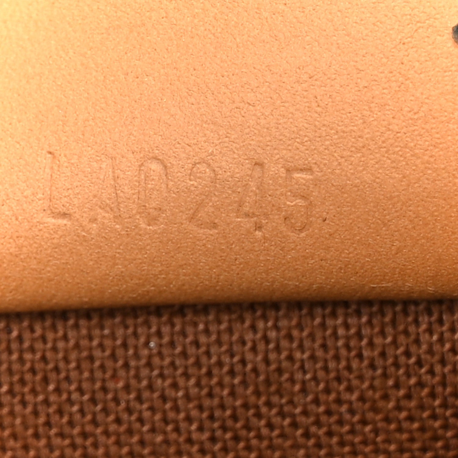 Monogram Nano Speedy Bandouliere