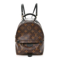 Monogram Palm Springs Backpack Mini