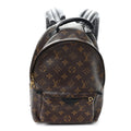 Monogram Palm Springs Backpack PM