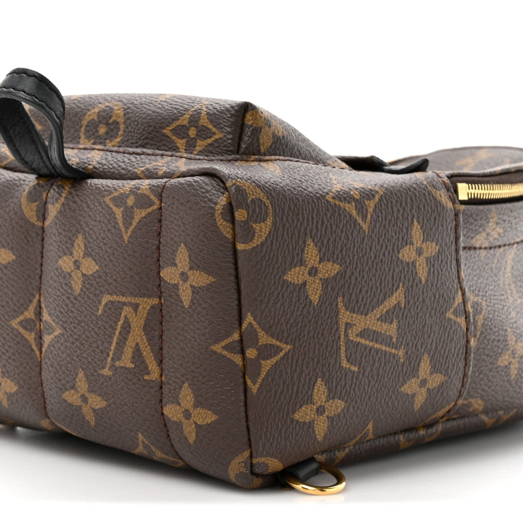 Monogram Palm Springs Backpack Mini