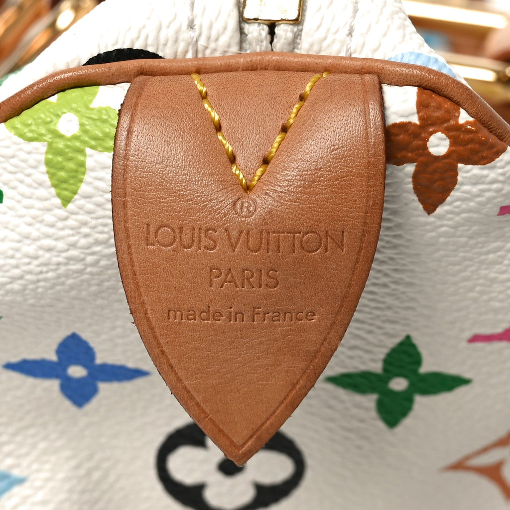 Monogram Multicolor Speedy 30 White