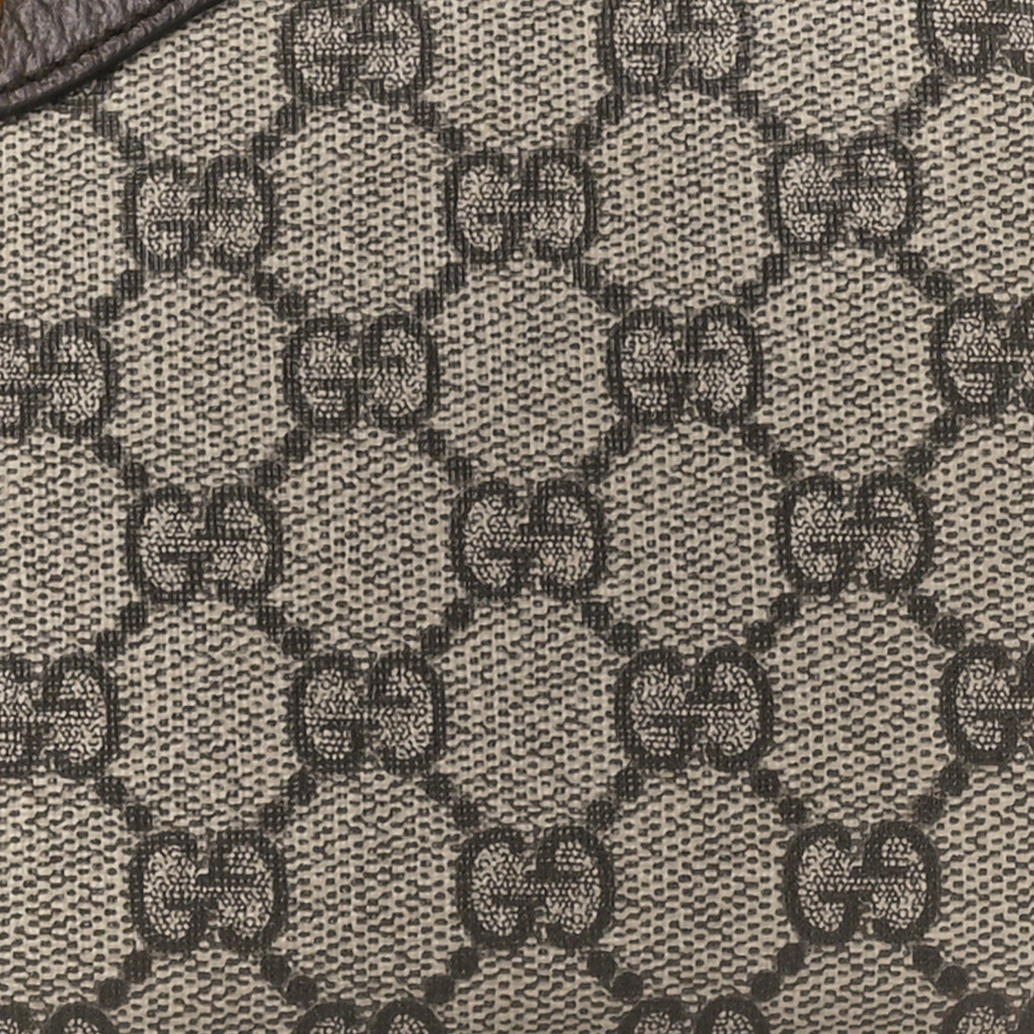 GG Supreme Monogram Textured Dollar Calfskin Web Small Ophidia GG Handbag Beige Ebony New Acero