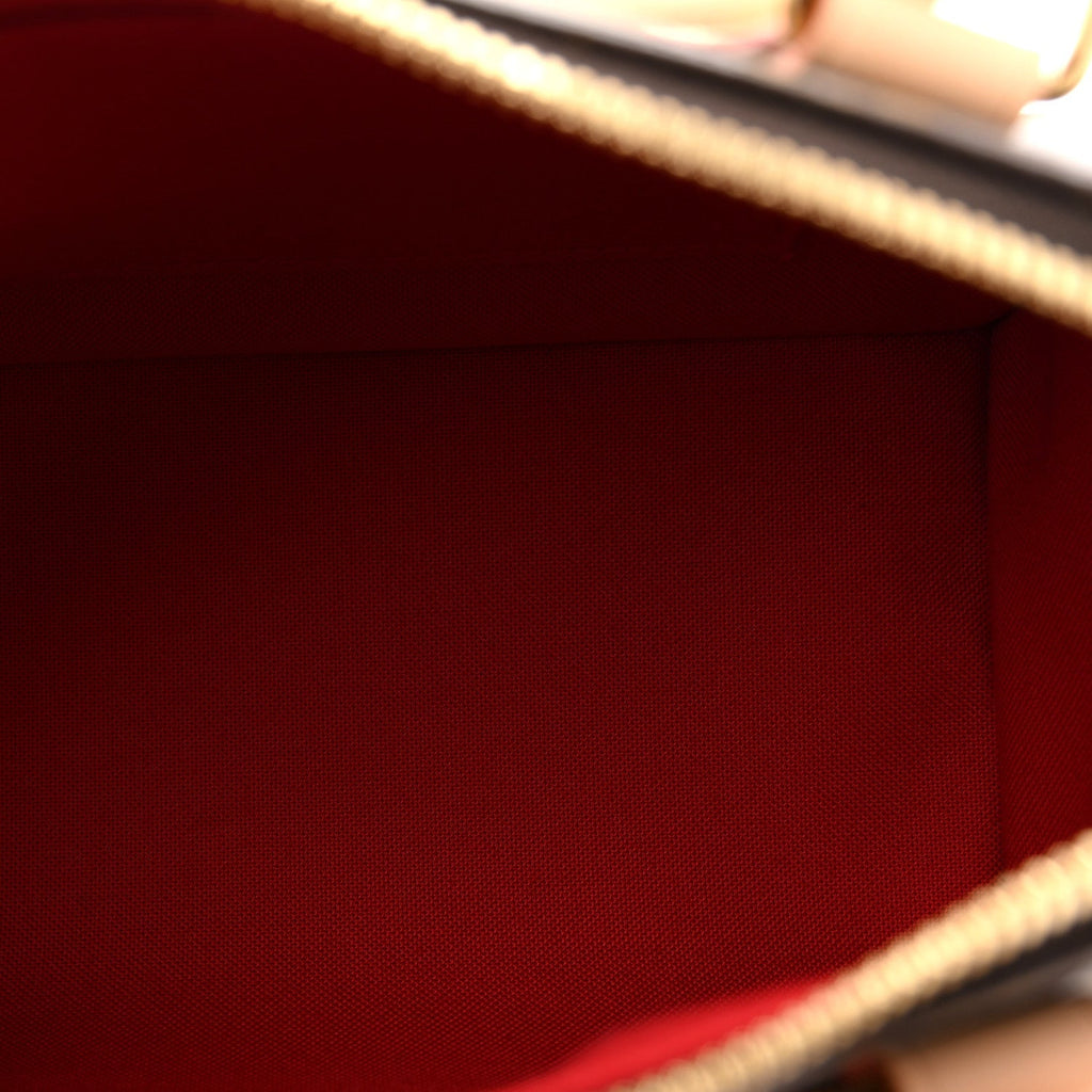 Monogram Speedy Bandouliere 20