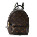 Monogram Palm Springs Backpack Mini
