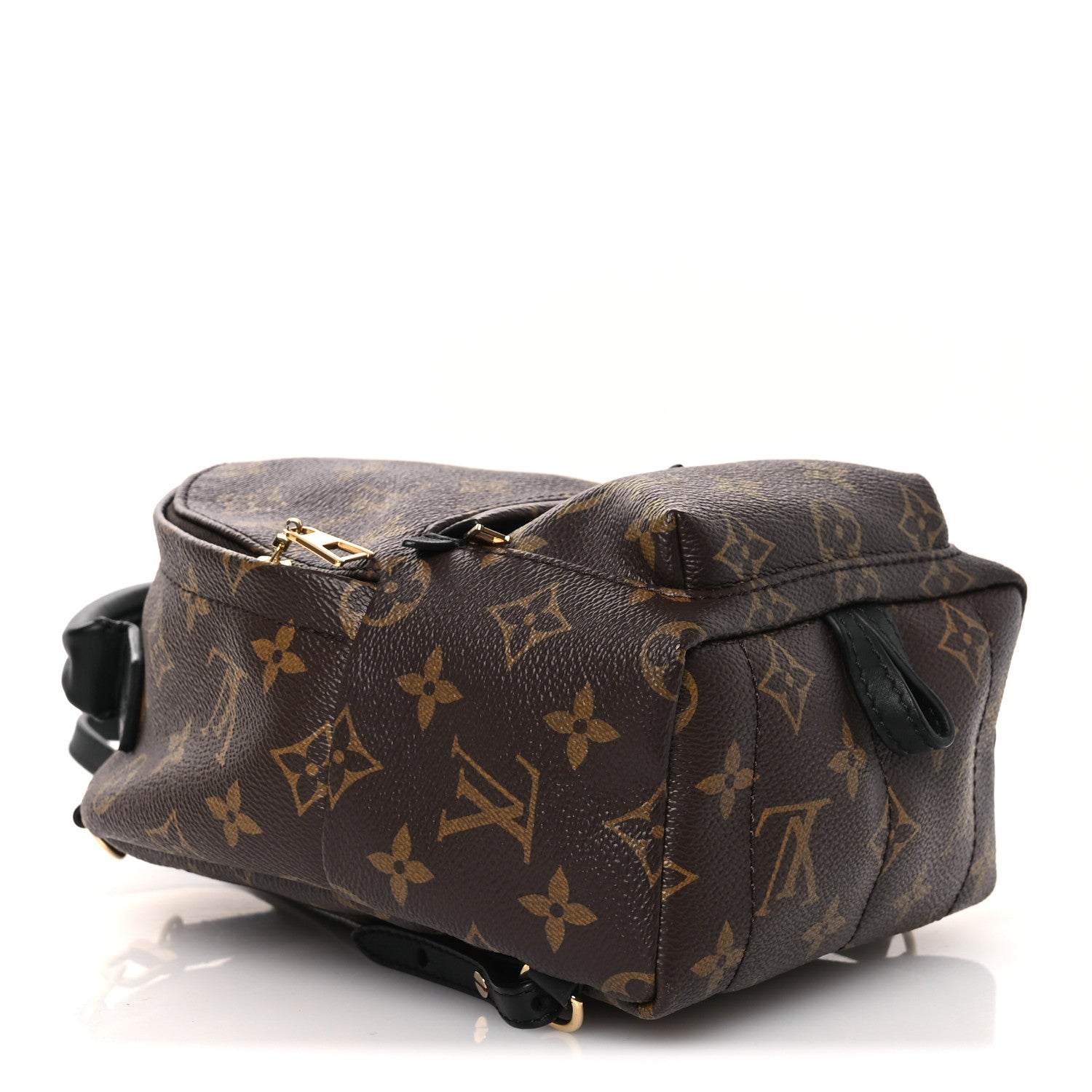 Monogram Palm Springs Backpack Mini