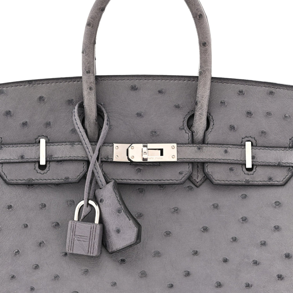 Ostrich Birkin 25 Gris Agate