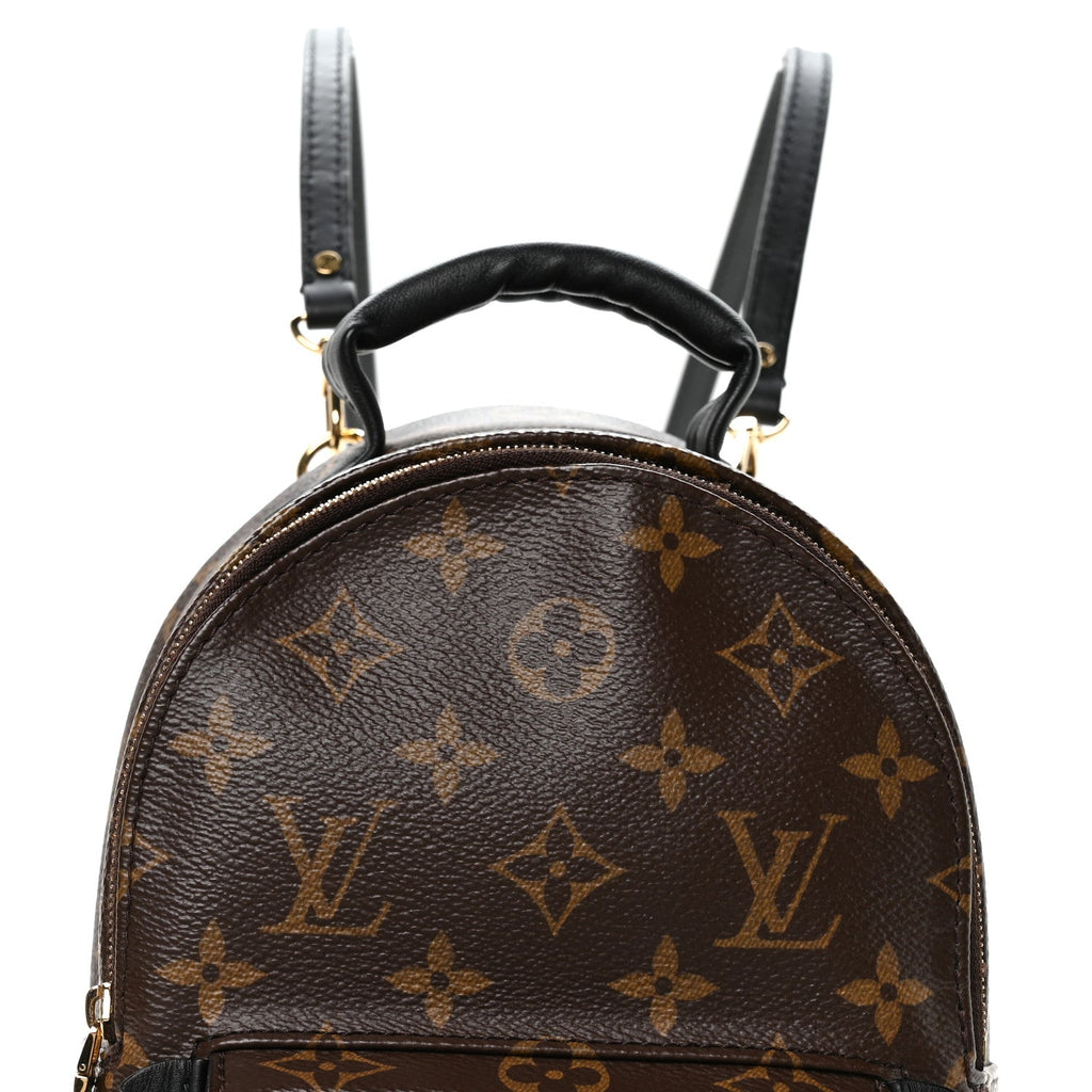 Monogram Palm Springs Backpack Mini
