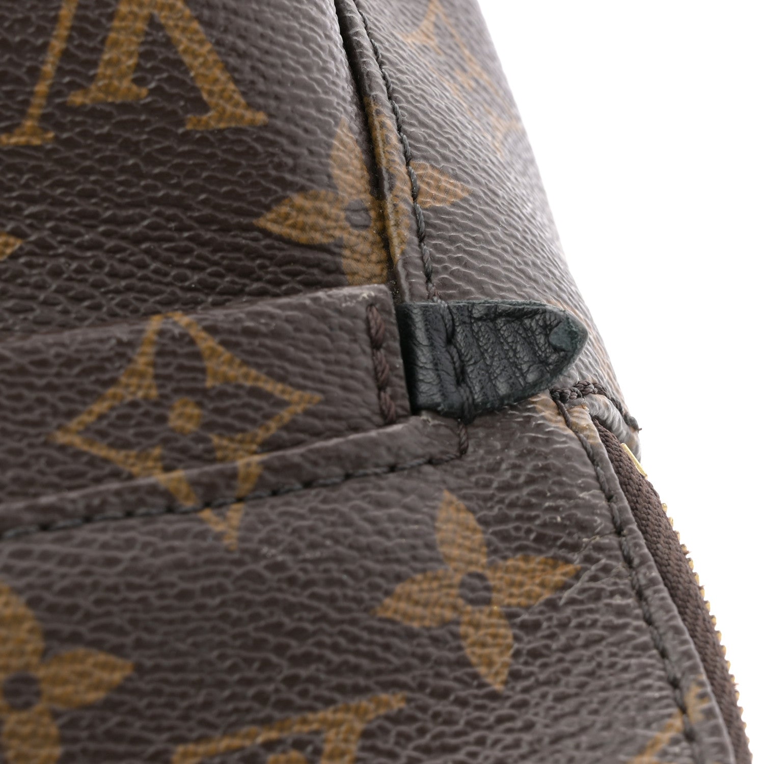 Monogram Palm Springs Backpack Mini