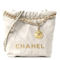 Shiny Calfskin Quilted Mini Chanel 22 Light Grey