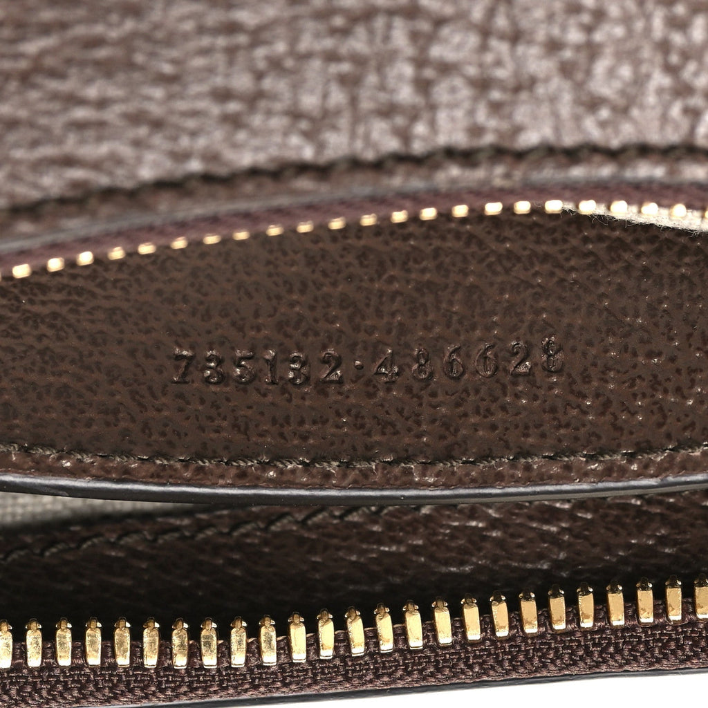 GG Supreme Monogram Textured Dollar Calfskin Web Small Ophidia GG Handbag Beige Ebony New Acero
