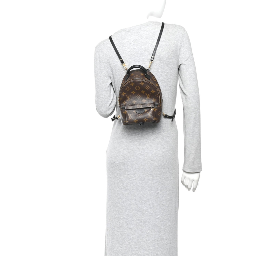 Monogram Palm Springs Backpack Mini