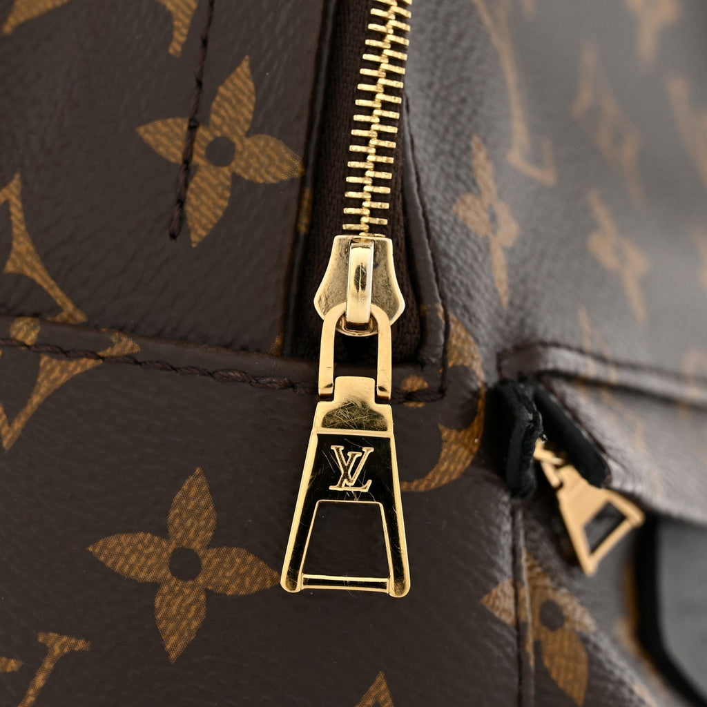 Monogram Palm Springs Backpack Mini