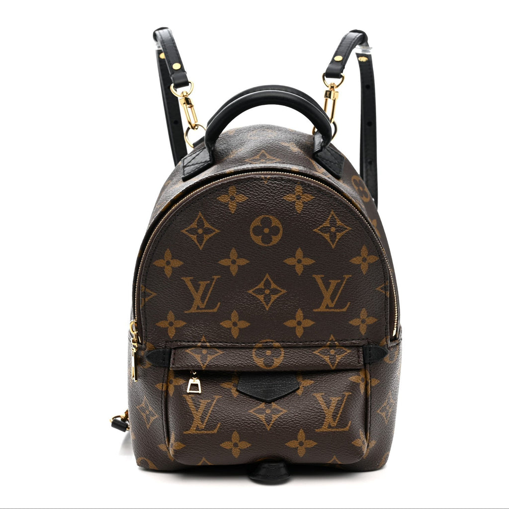 Monogram Palm Springs Backpack Mini