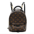 Monogram Palm Springs Backpack Mini