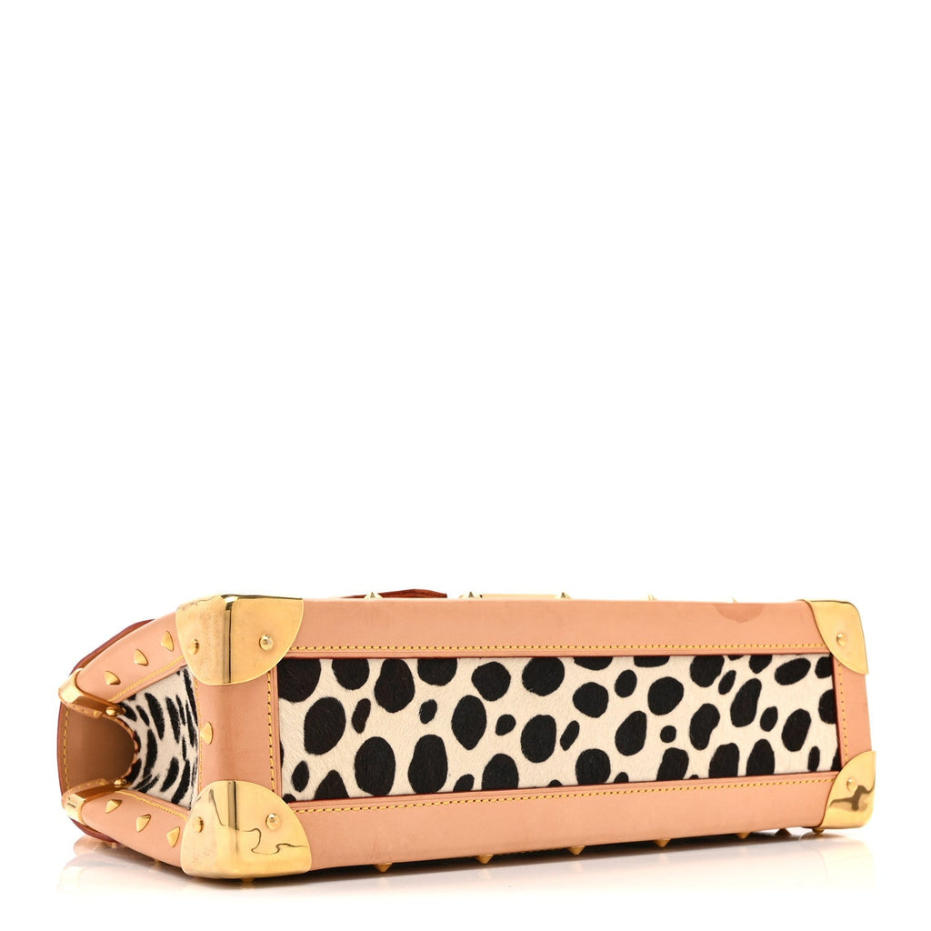 Monogram Multicolor Dalmatian Sac Rabat