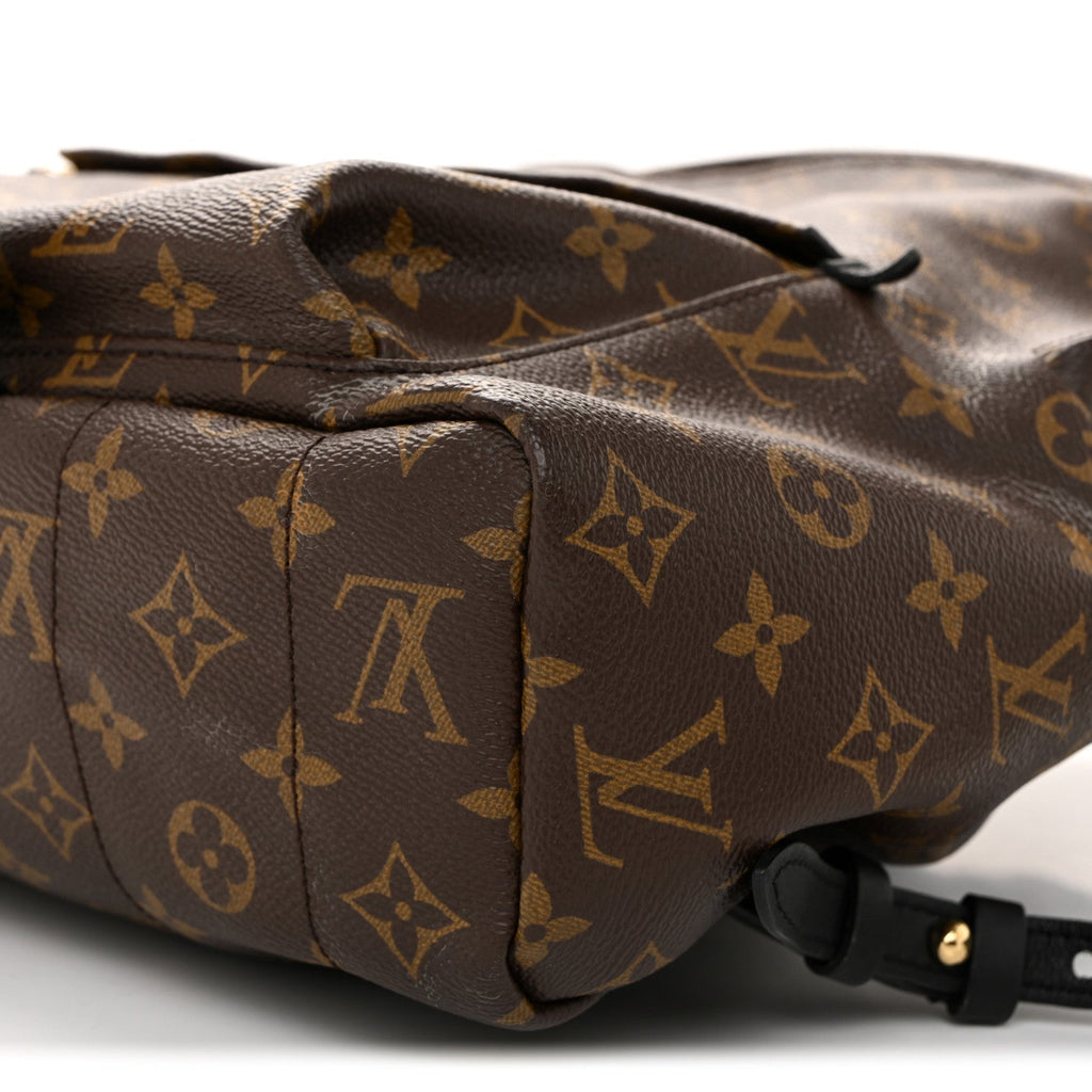 Monogram Palm Springs Backpack MM