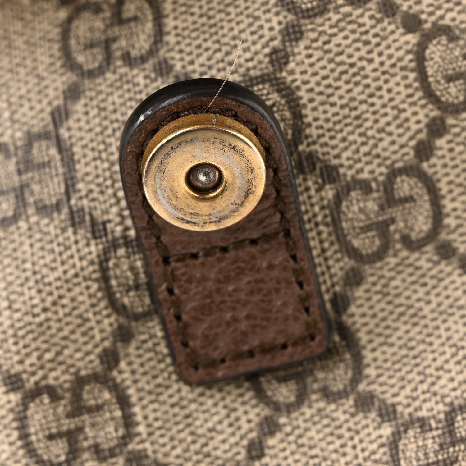 GG Supreme Monogram Medium Ophidia Double Buckle Backpack Brown