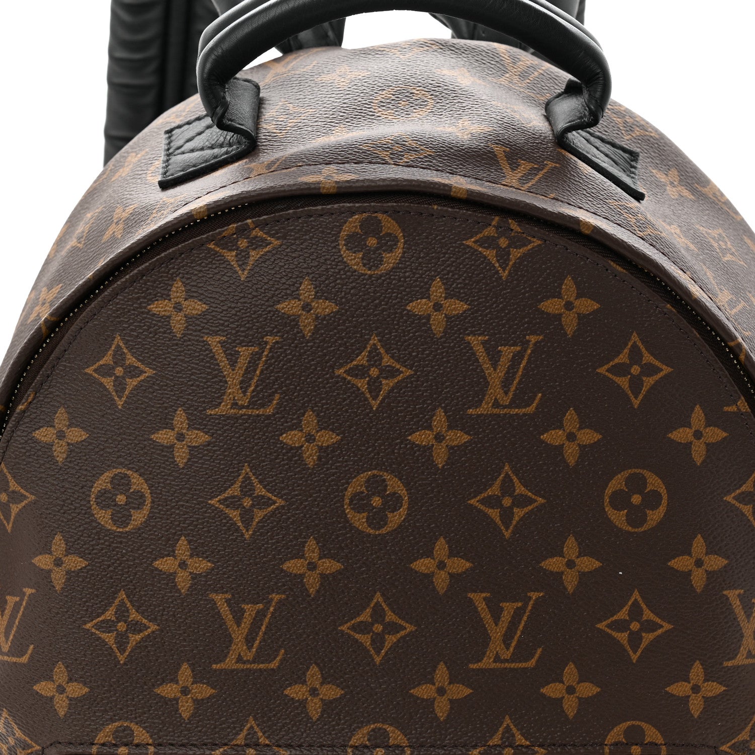 Monogram Palm Springs Backpack MM