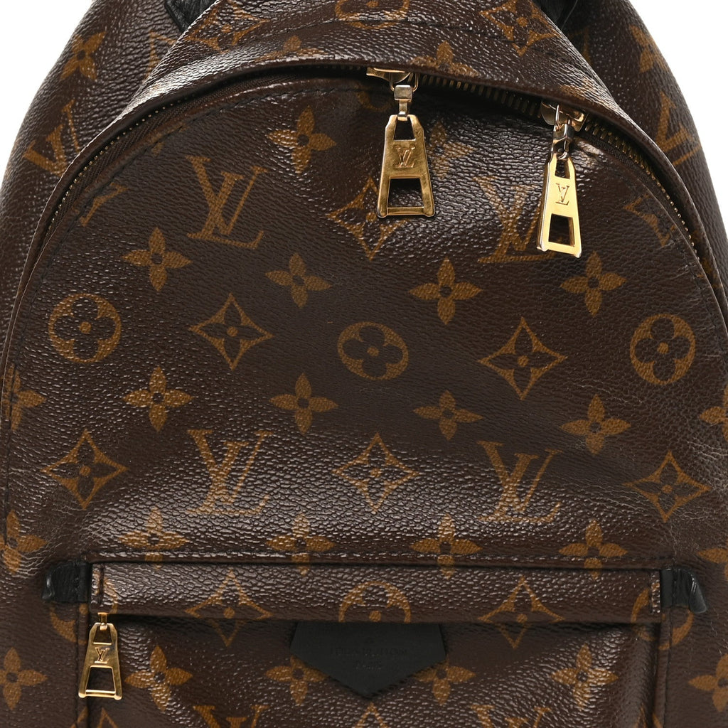 Monogram Palm Springs Backpack PM