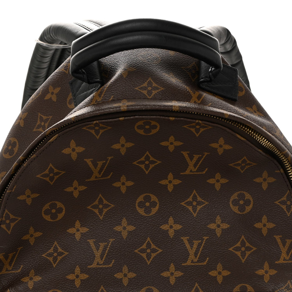 Monogram Palm Springs Backpack MM