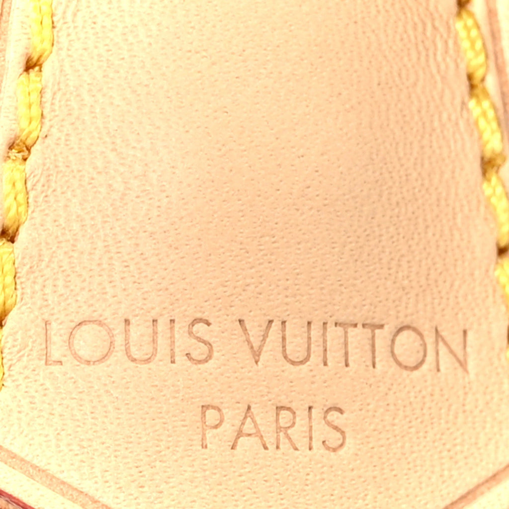 LV X TM Monogram Cerises Speedy Bandouliere 20