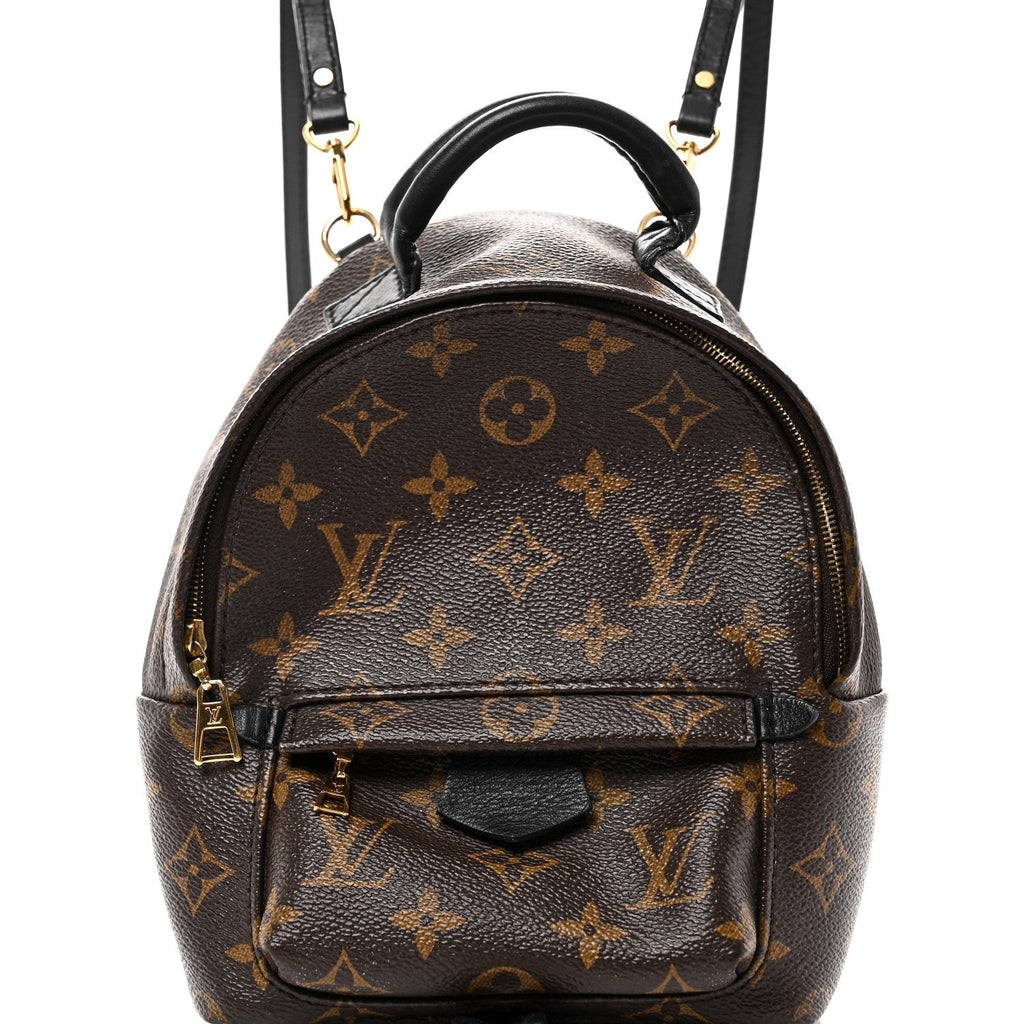 Monogram Palm Springs Backpack Mini