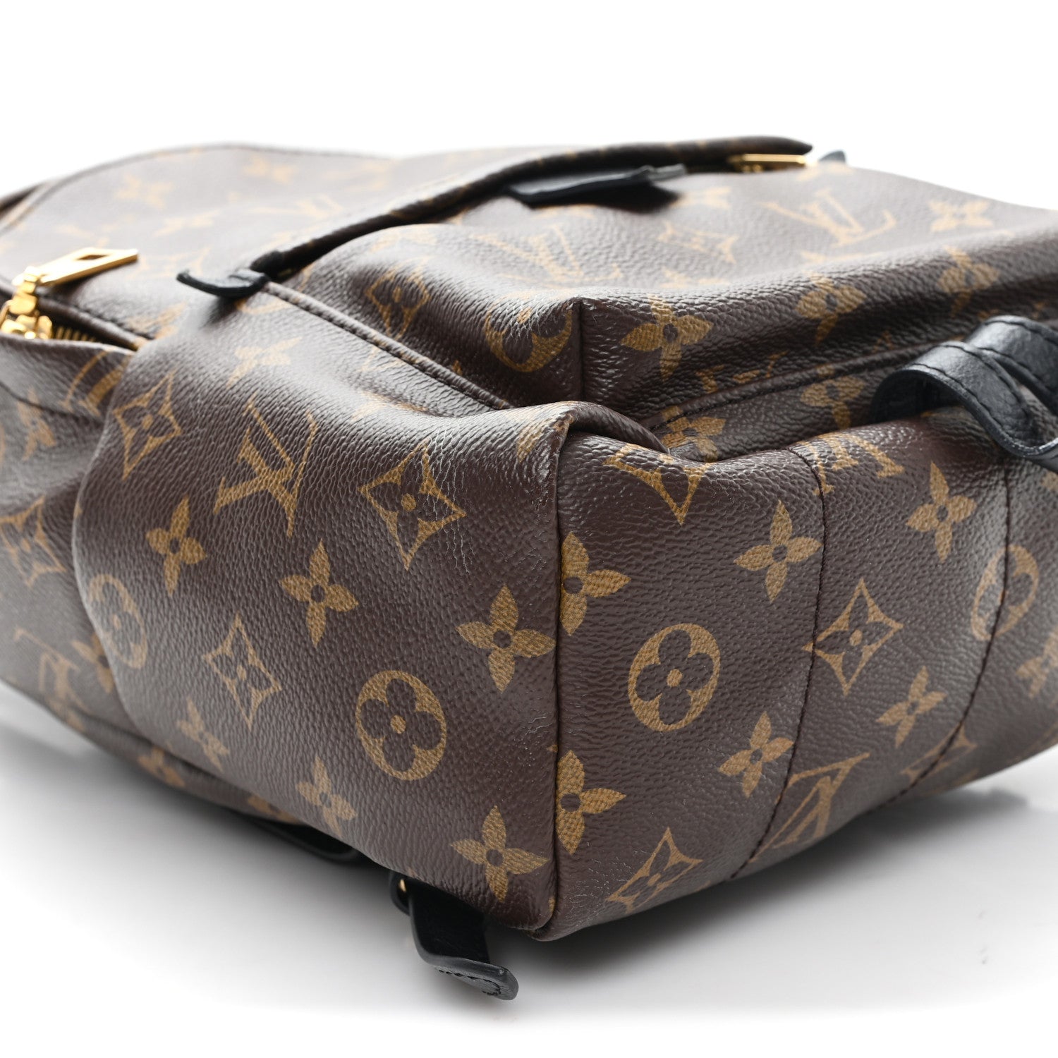 Monogram Palm Springs Backpack PM