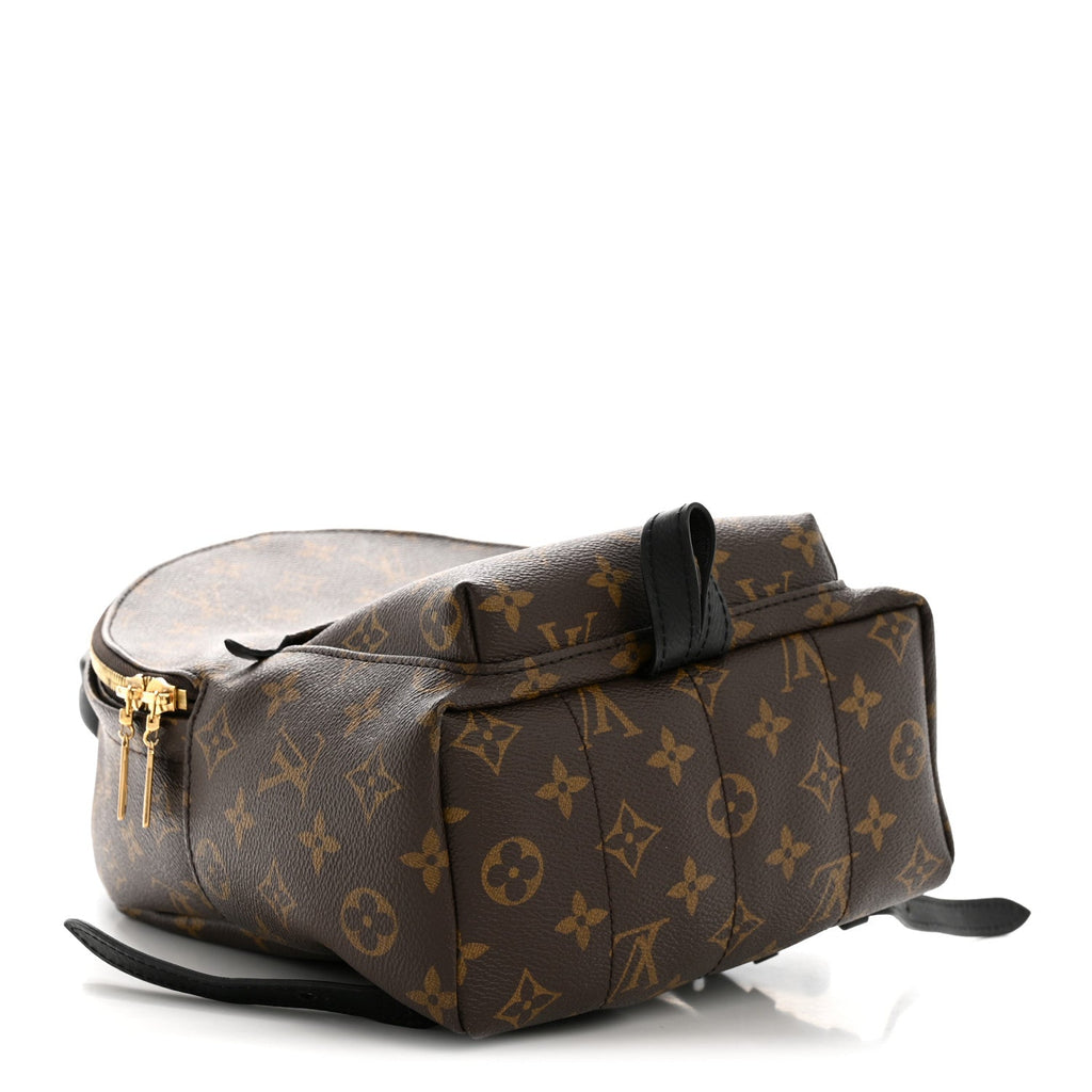 Monogram Palm Springs Backpack PM