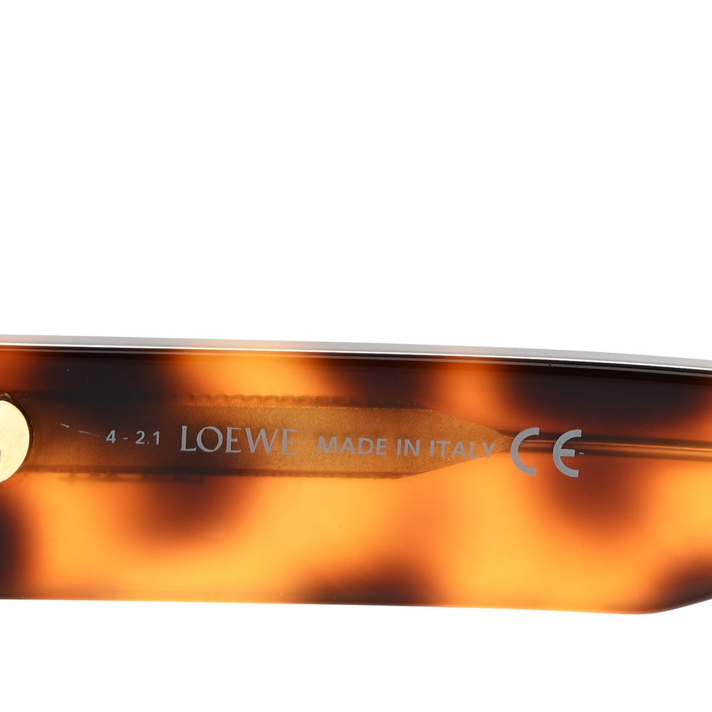 Acetate Paula's Ibiza Mask Sunglasses LW40071U Havana