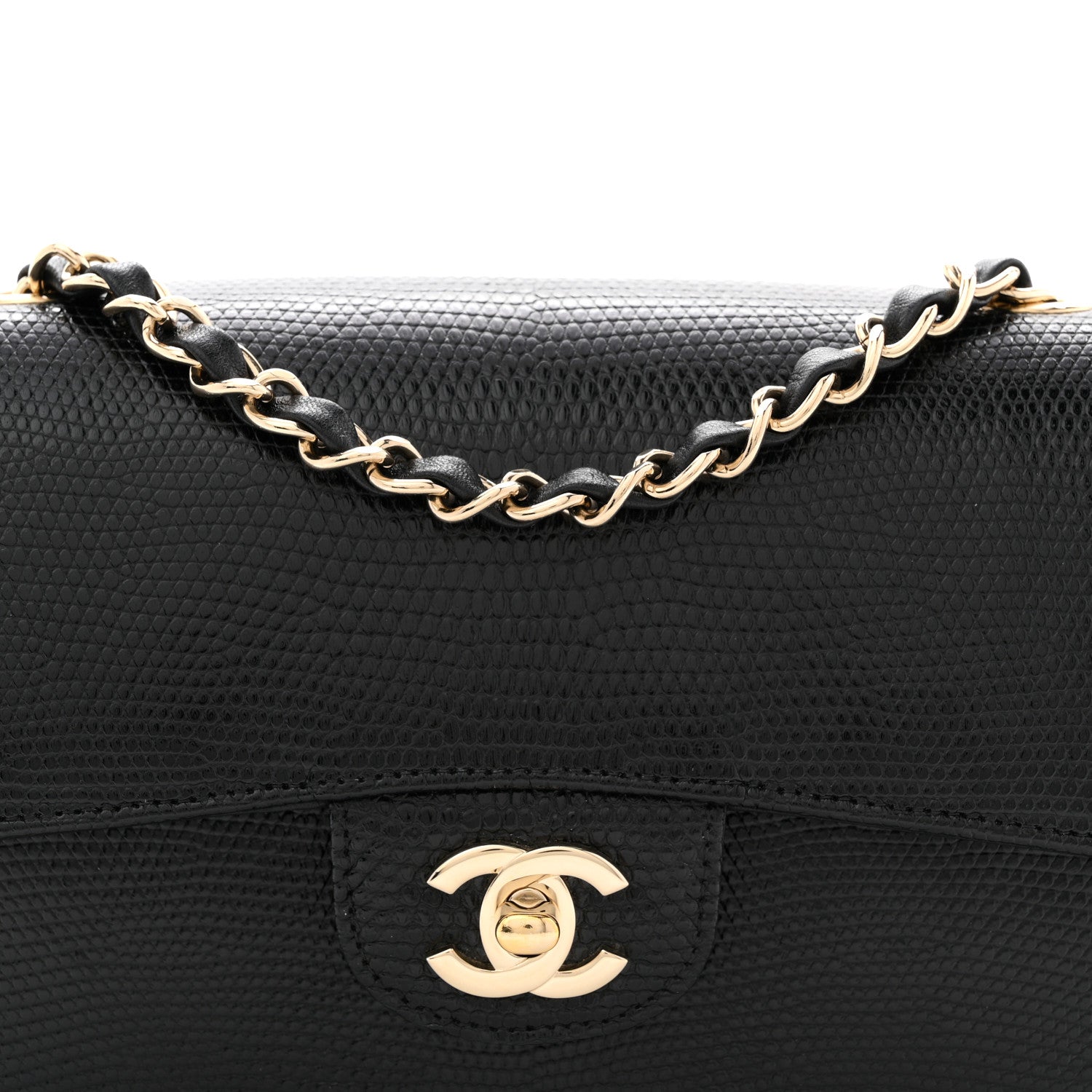 Lizard Mini Rectangular Flap Black