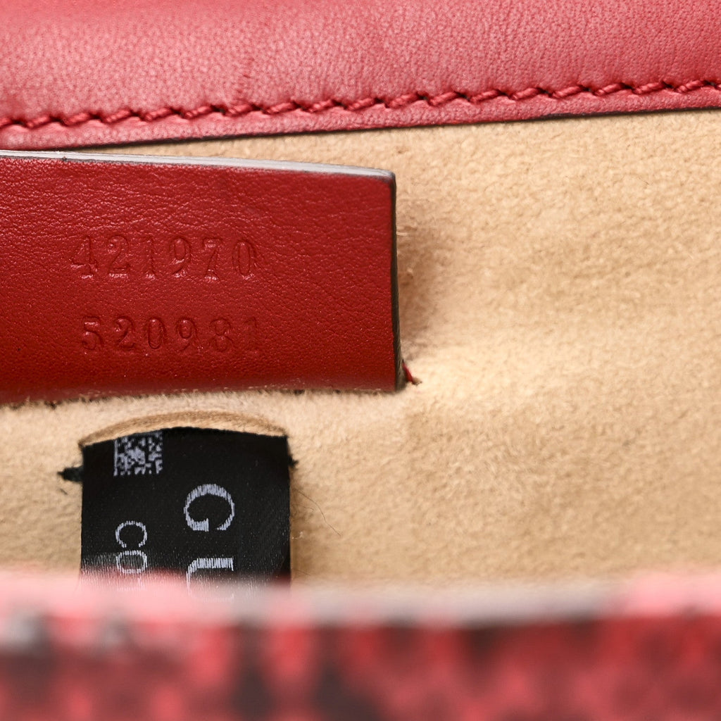 Snakeskin Mini Dionysus Shoulder Bag Red
