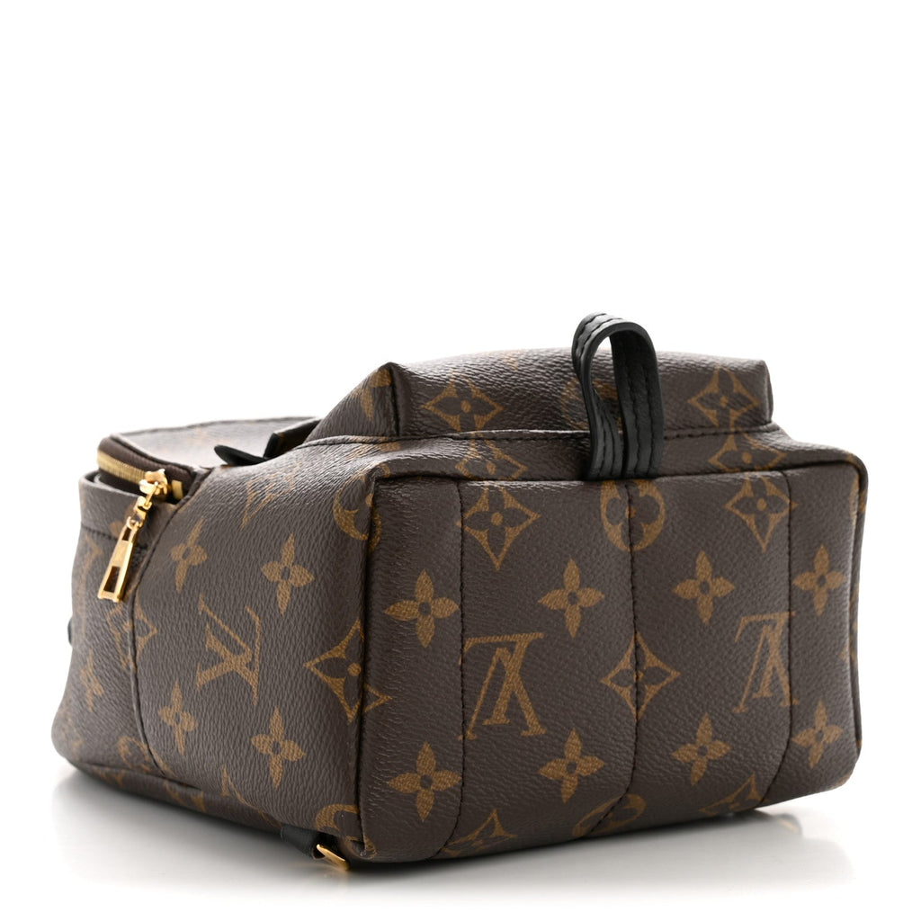 Monogram Palm Springs Backpack Mini