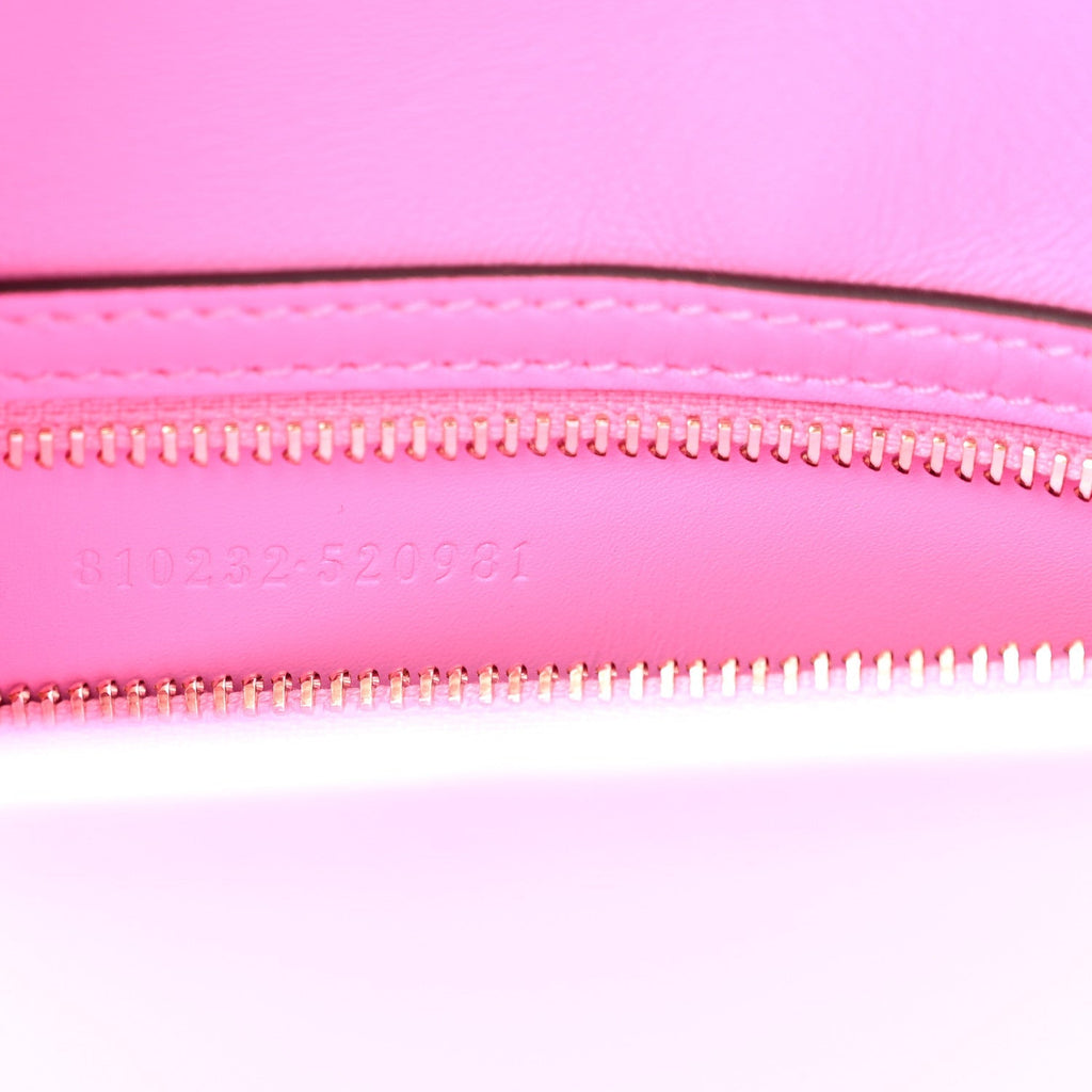 Ancora Calfskin Web Medium Jackie 1961 Hobo Pink