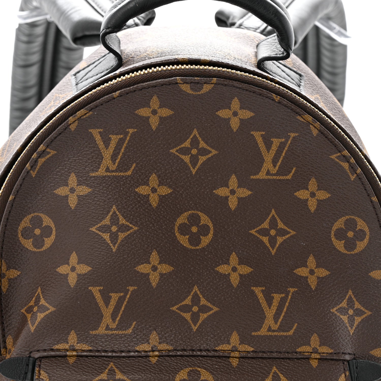 Monogram Palm Springs Backpack PM