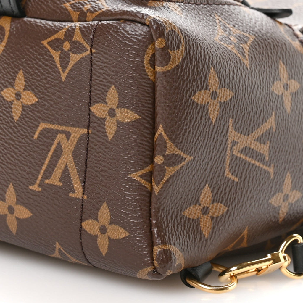 Monogram Palm Springs Backpack Mini