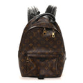 Monogram Palm Springs Backpack PM