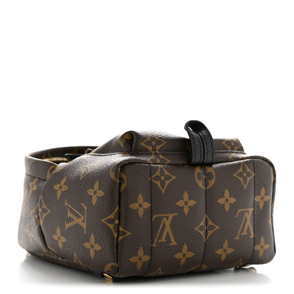 Monogram Palm Springs Backpack Mini