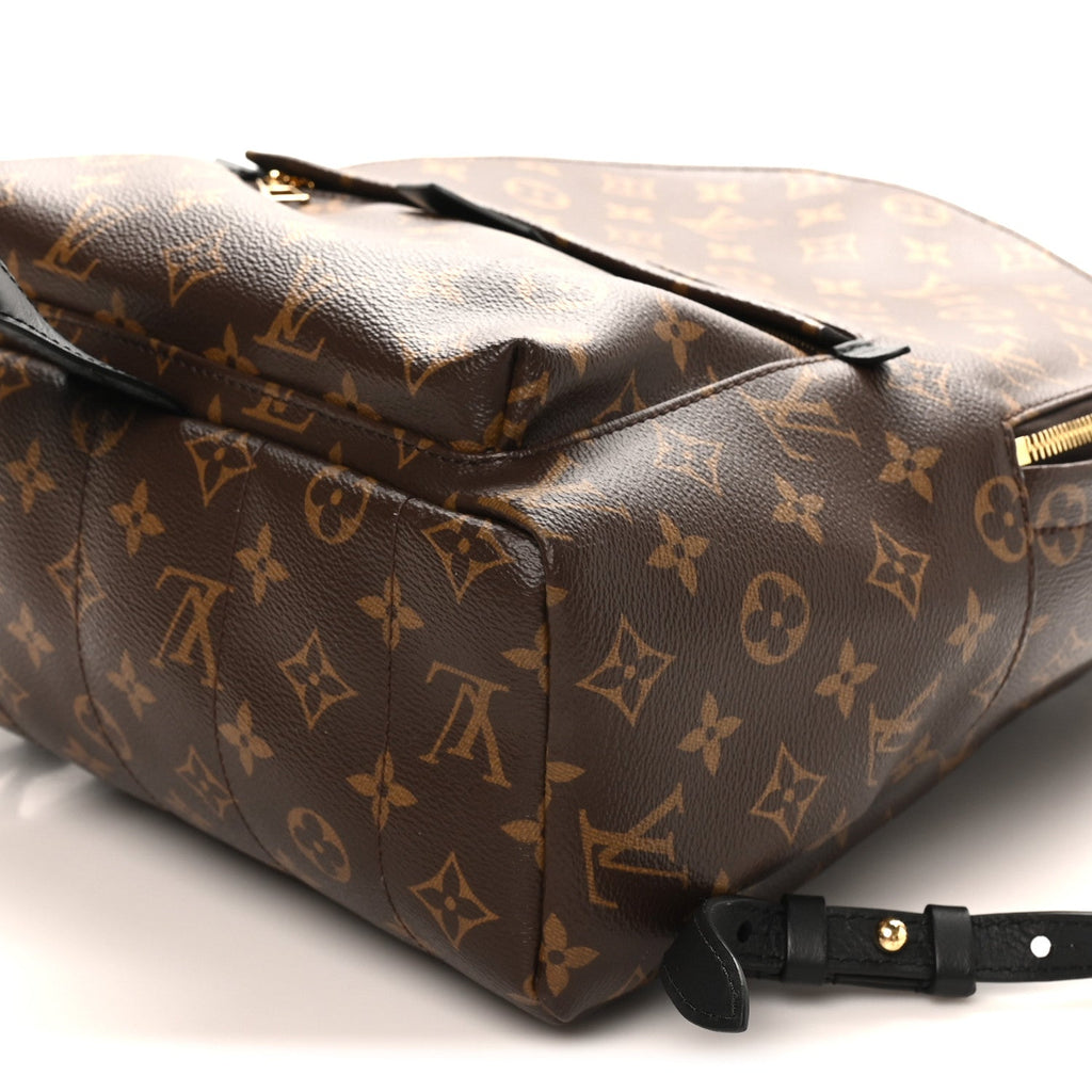 Monogram Palm Springs Backpack MM
