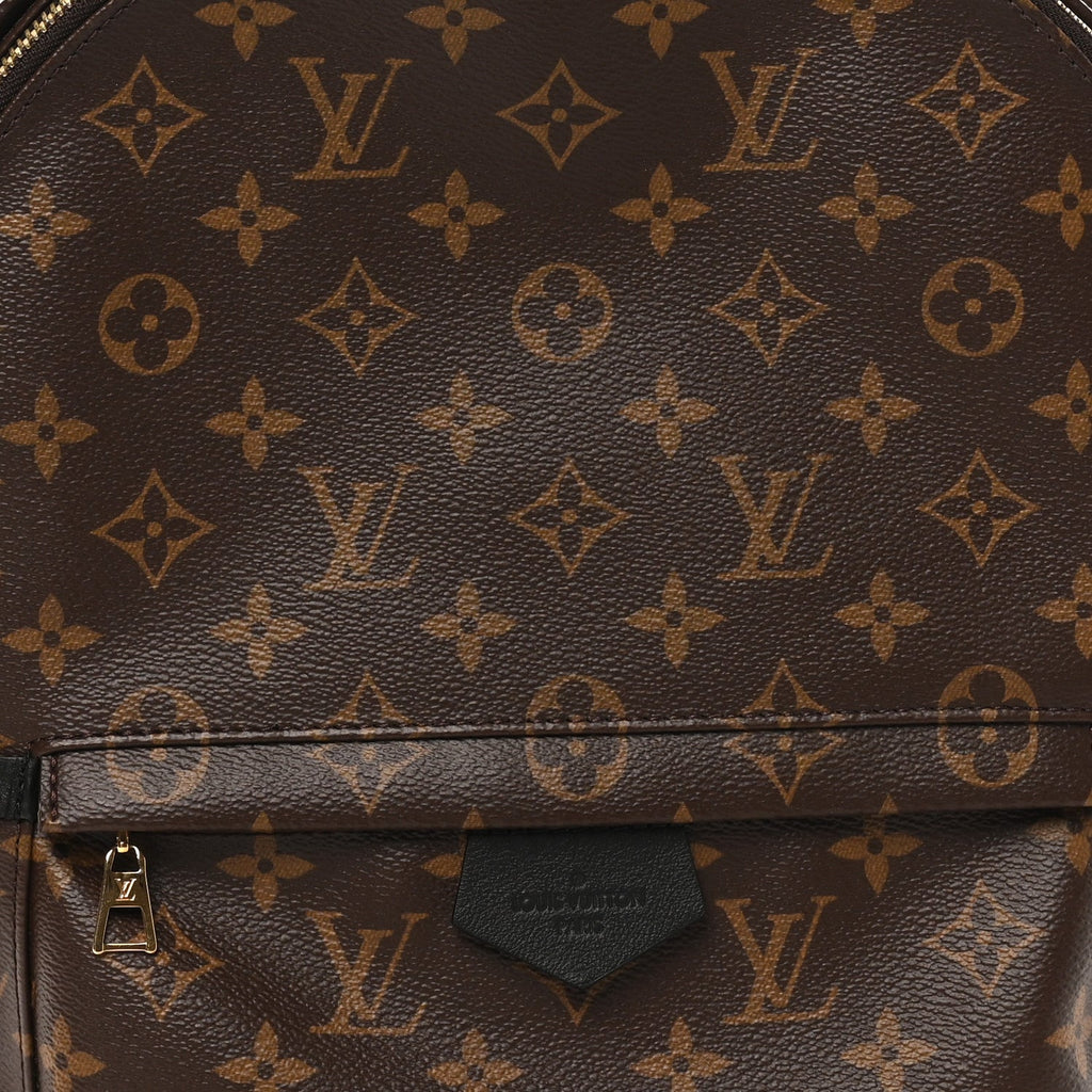 Monogram Palm Springs Backpack MM