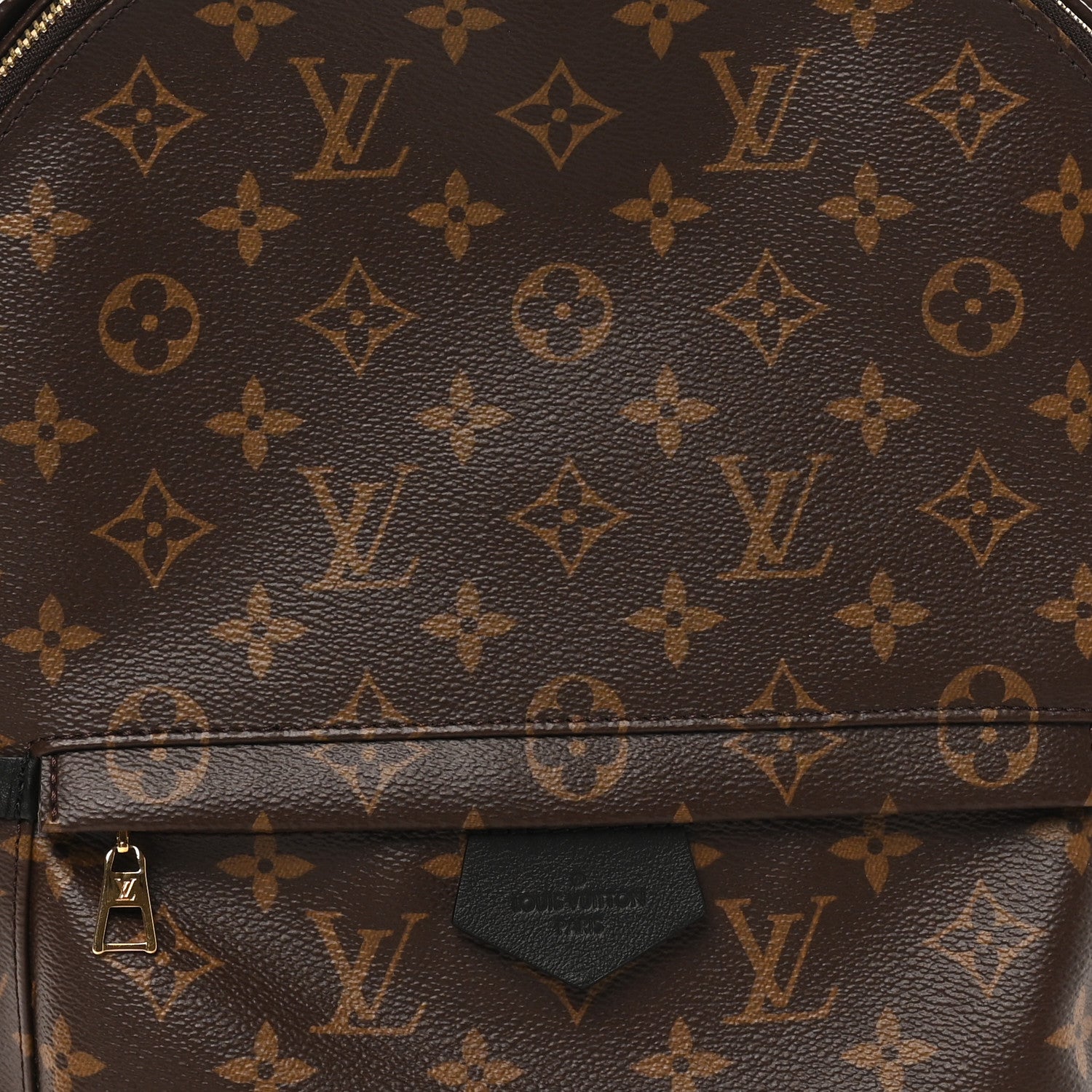 Monogram Palm Springs Backpack MM