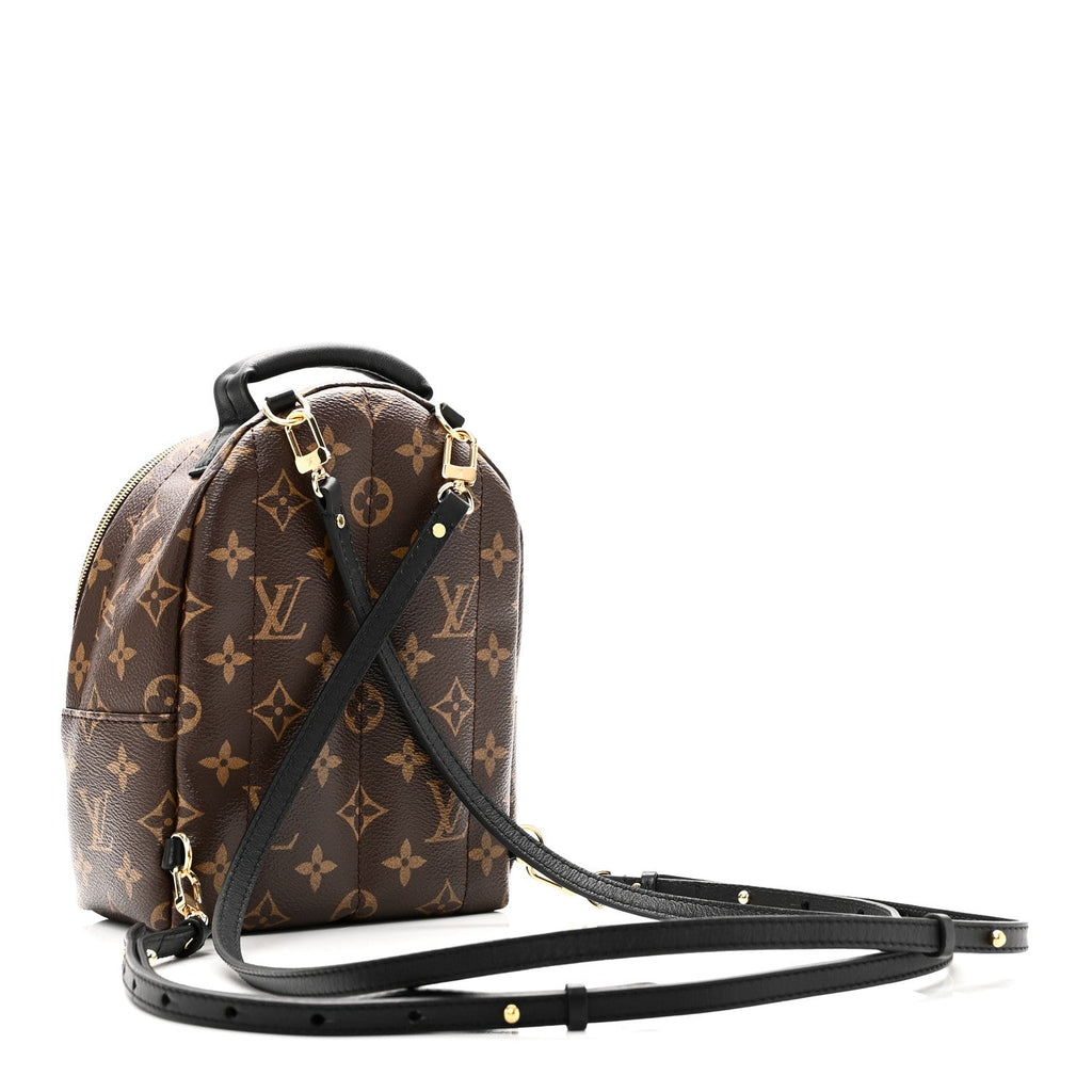 Monogram Palm Springs Backpack Mini