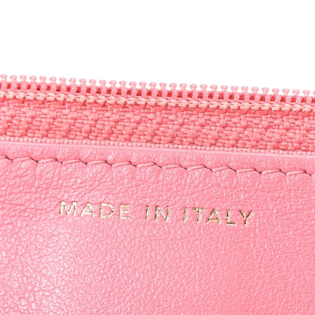 Lambskin Quilted Chanel 19 Wallet On Chain WOC Pink