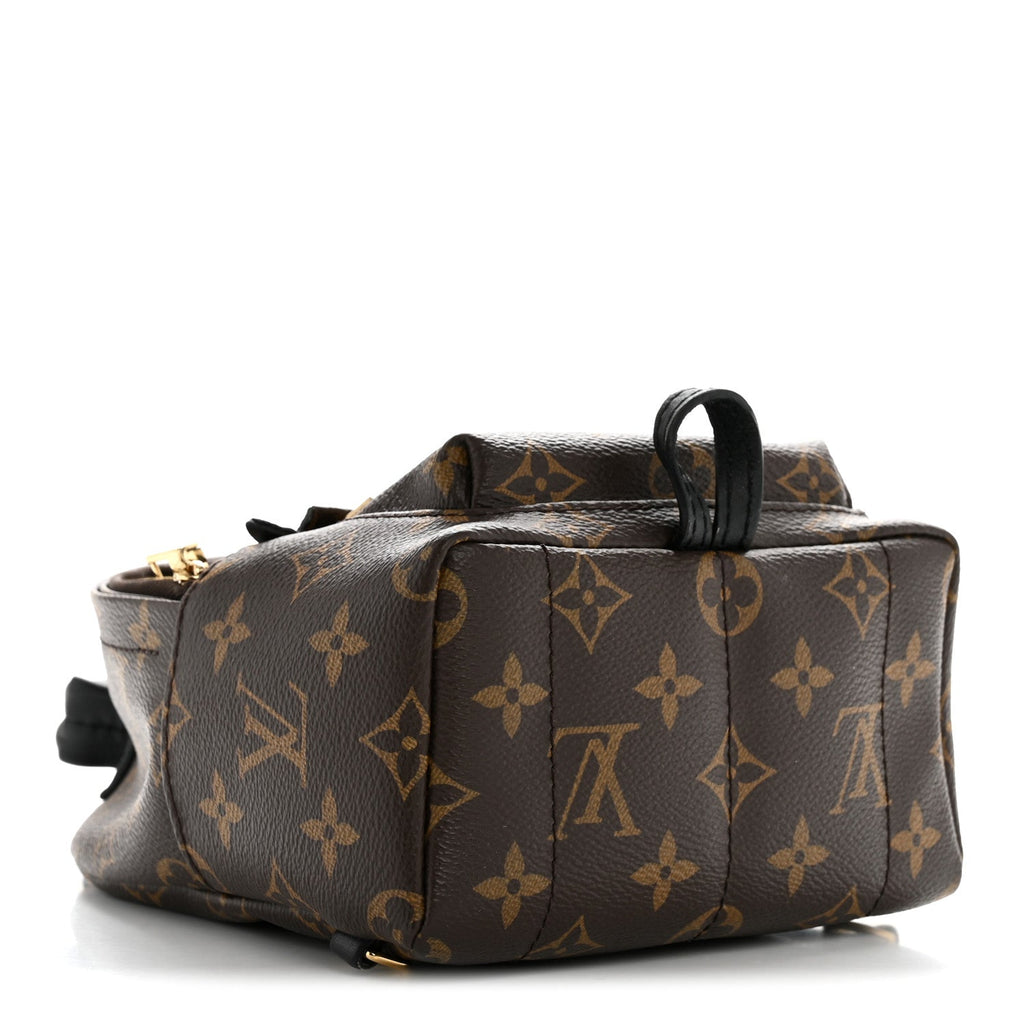 Monogram Palm Springs Backpack Mini