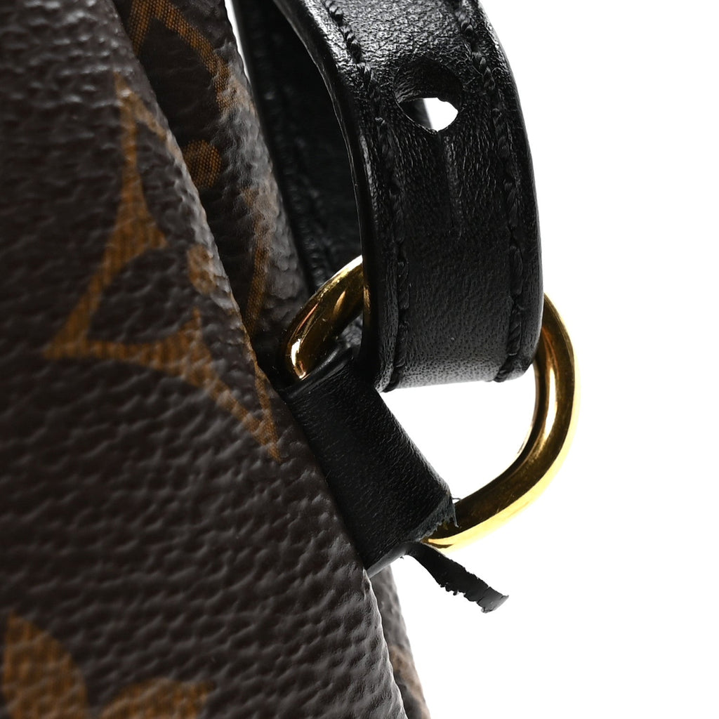 Monogram Palm Springs Backpack Mini