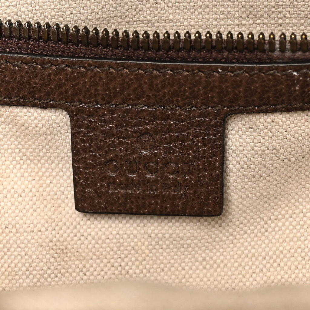 GG Supreme Monogram Medium Ophidia Day Backpack Brown