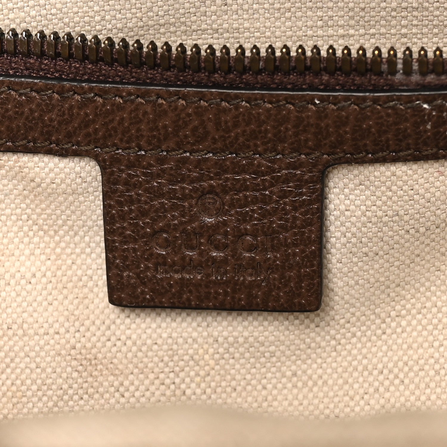 GG Supreme Monogram Medium Ophidia Day Backpack Brown