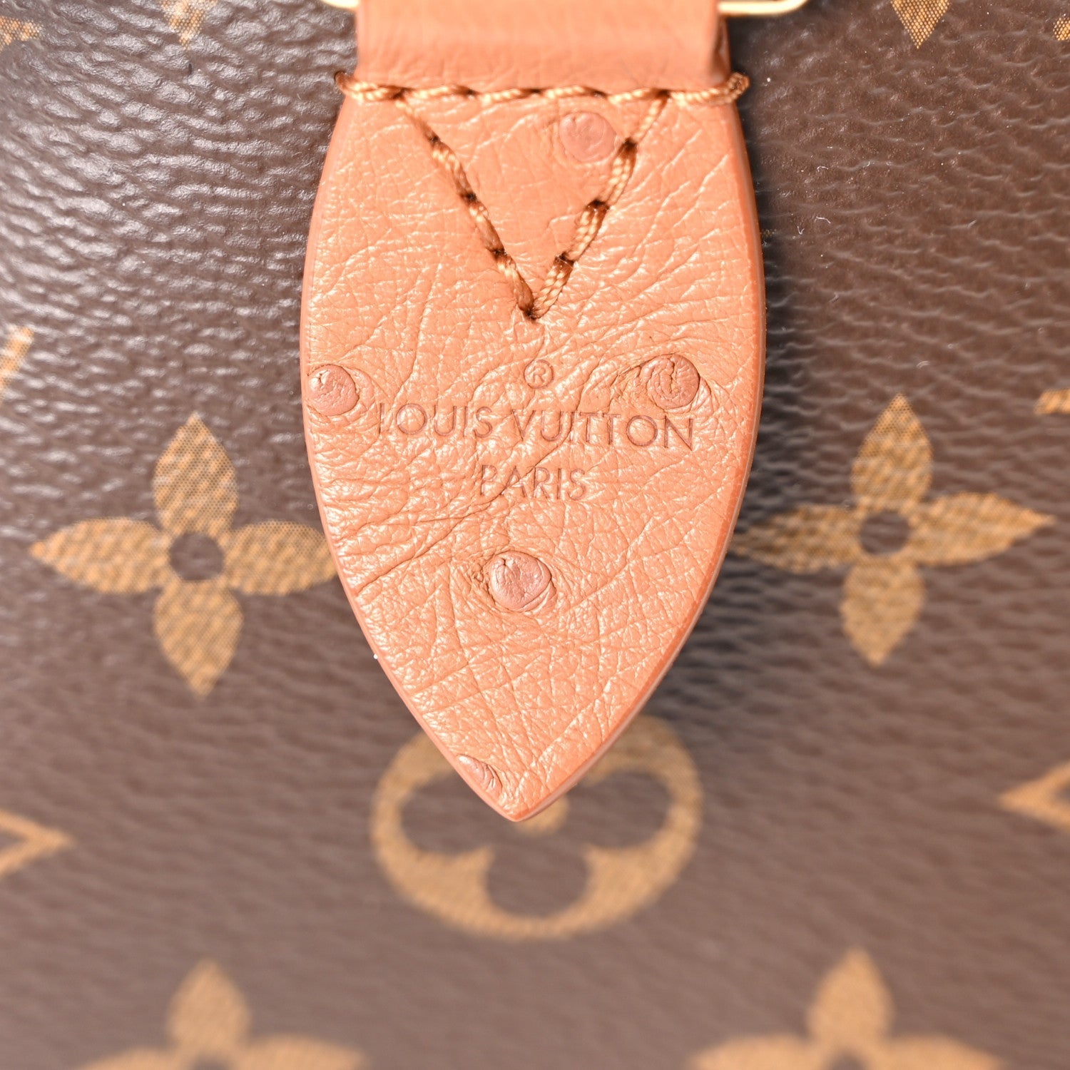 Monogram Speedy Soft 30 Boho