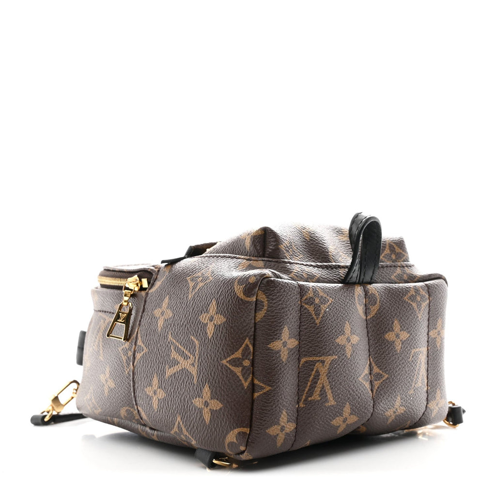 Monogram Palm Springs Backpack Mini