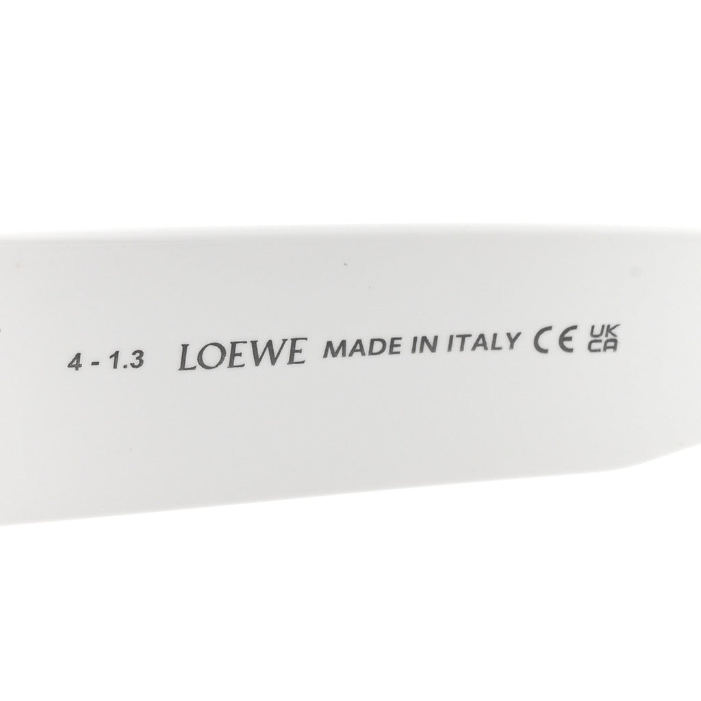 Acetate Sunglasses LW40033I White