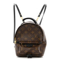 Monogram Palm Springs Backpack Mini
